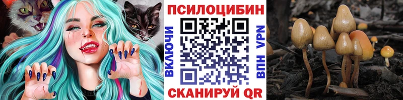 Псилоцибиновые грибы Cubensis  Голицыно 